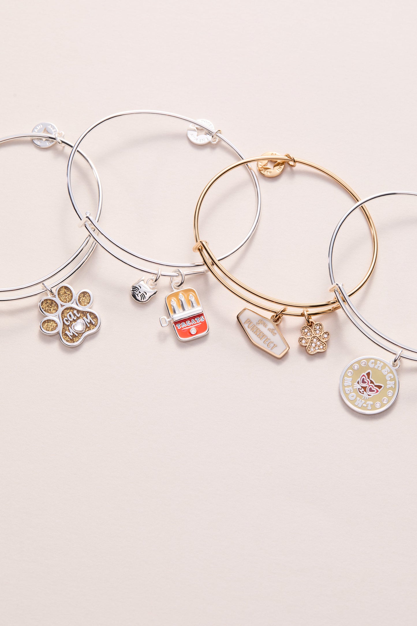 Cat & Sardine Tin Duo Charm Bangle