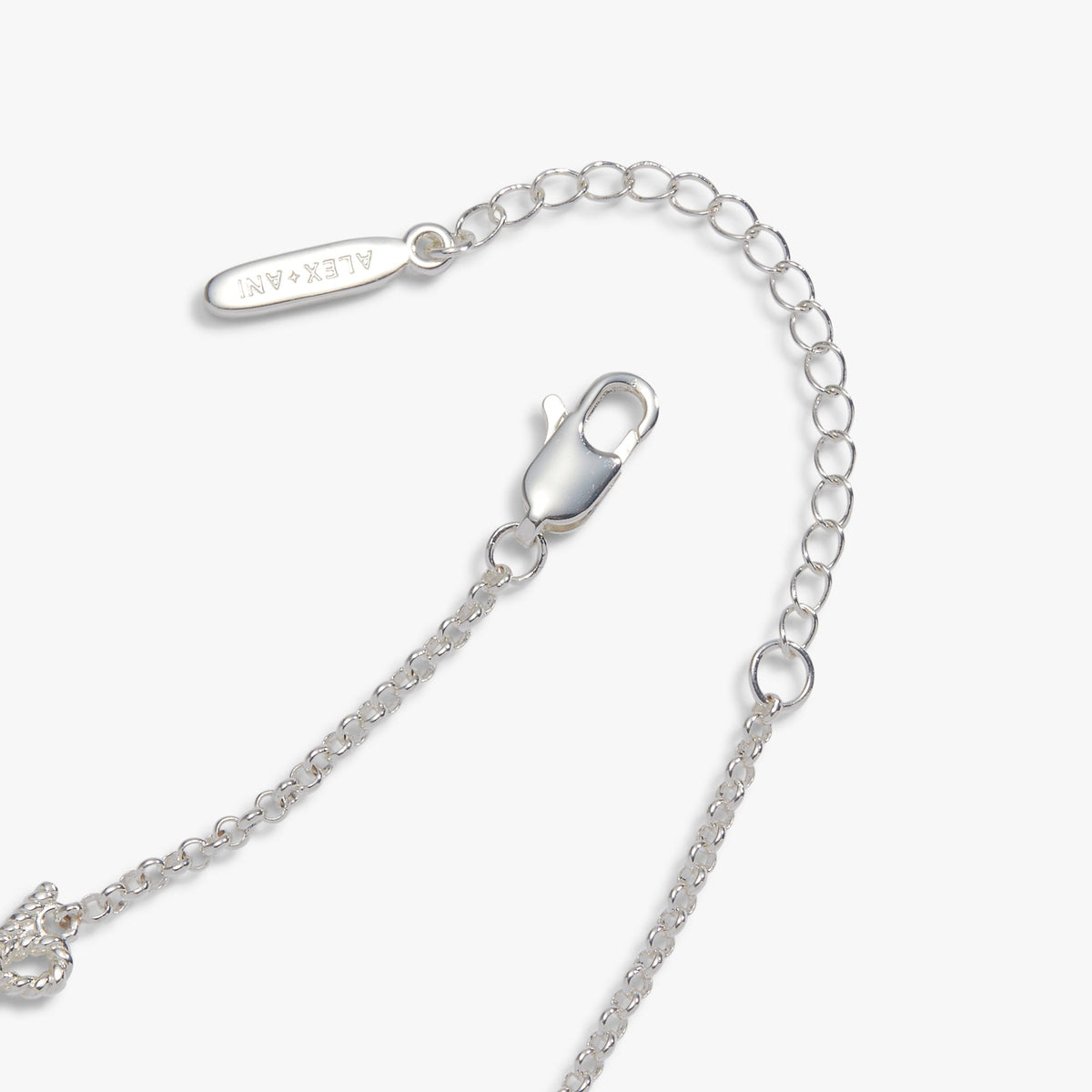 Ornaments Linear Charm Bracelet