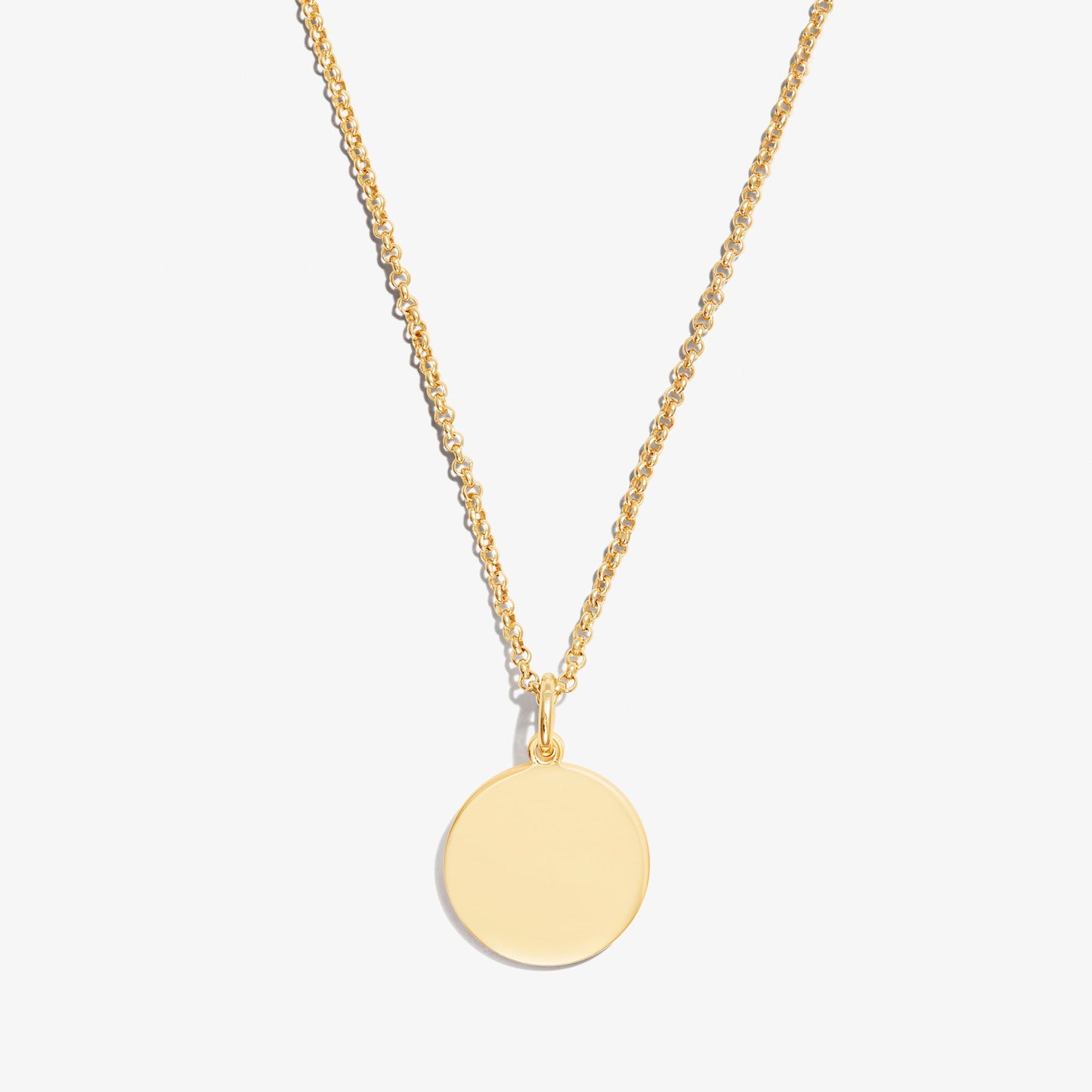 Circle Charm Necklace, 21''