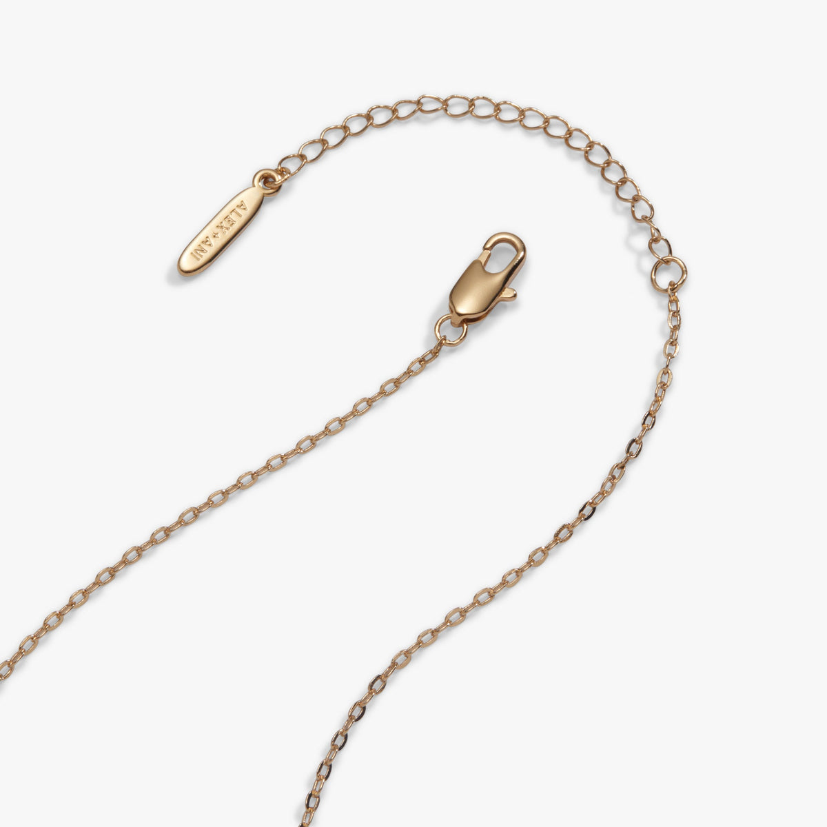 Ornaments Multi Charm Necklace