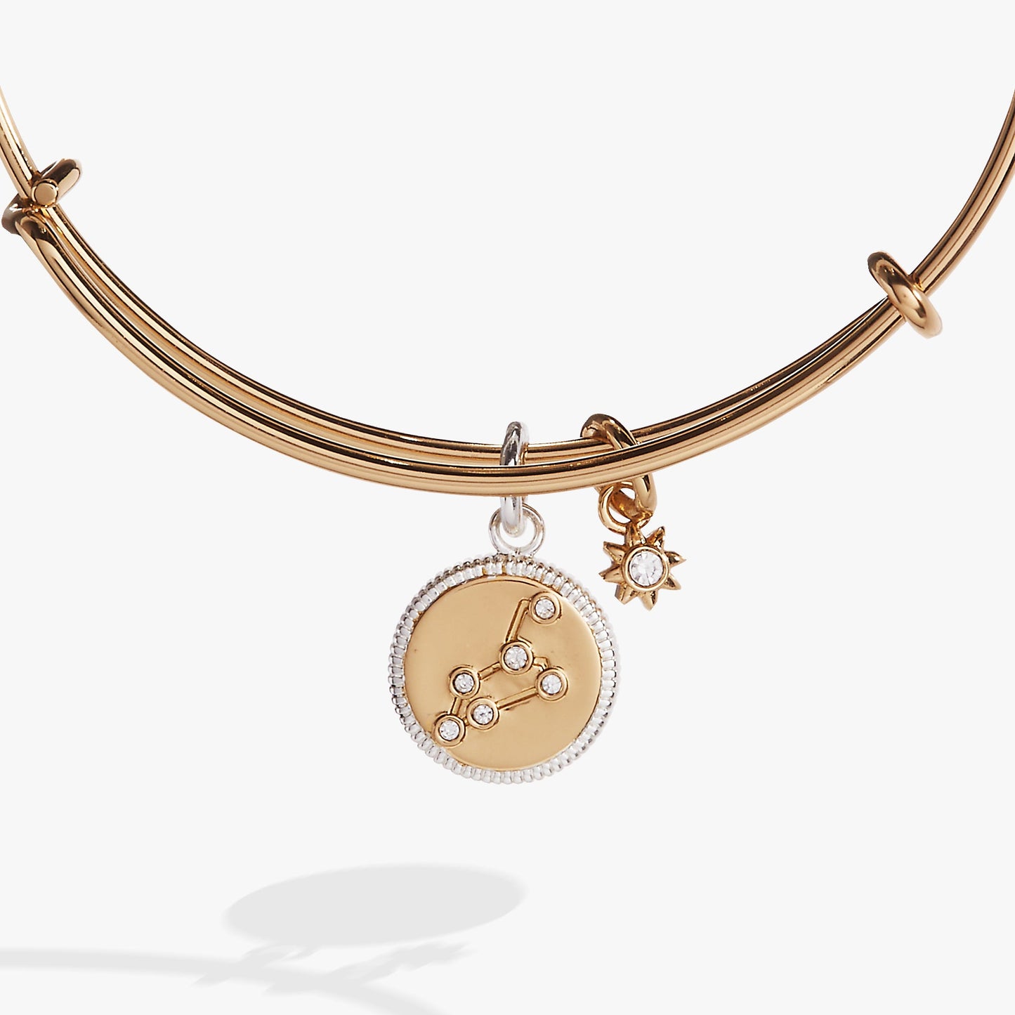 Leo Zodiac Charm Bangle