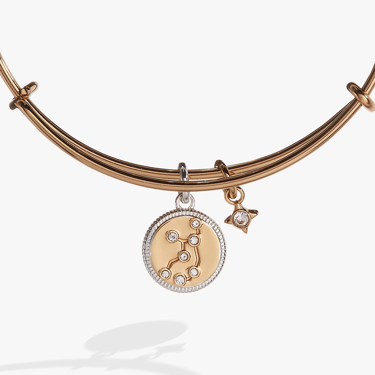 Virgo Zodiac Charm Bangle